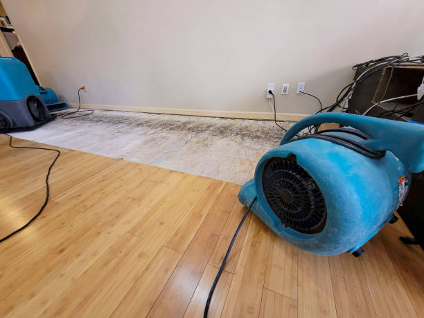 Professional Structural Drying technician working in Humarock, MA